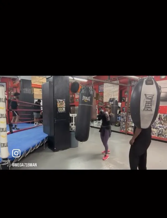 area51boxingclub llc Picture 7