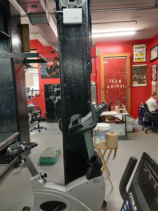 Gleason's Gym Picture 6