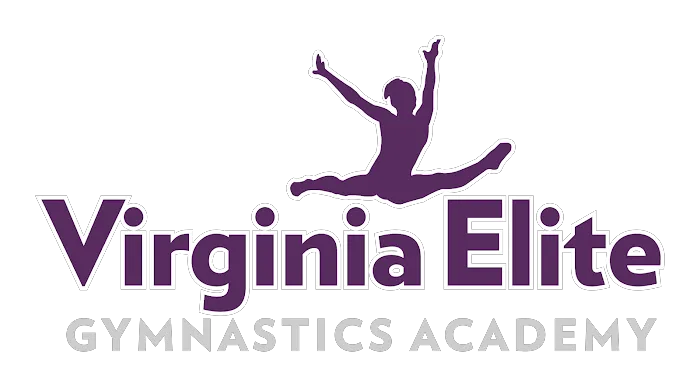 Virginia Elite Gymnastics Academy Picture 1