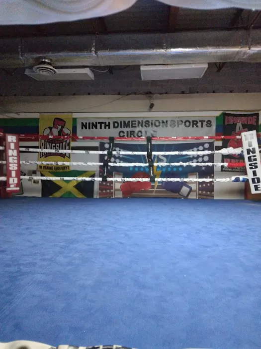 Ninth Dimension Boxing Gym Picture 3