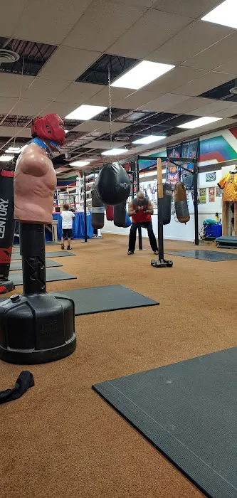 Ninth Dimension Boxing Gym Picture 1