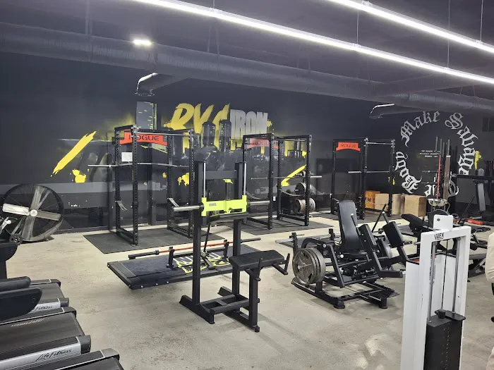 RVA Iron Gym - Chester Picture 8