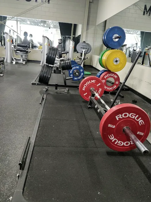 Gold's Gym Picture 10