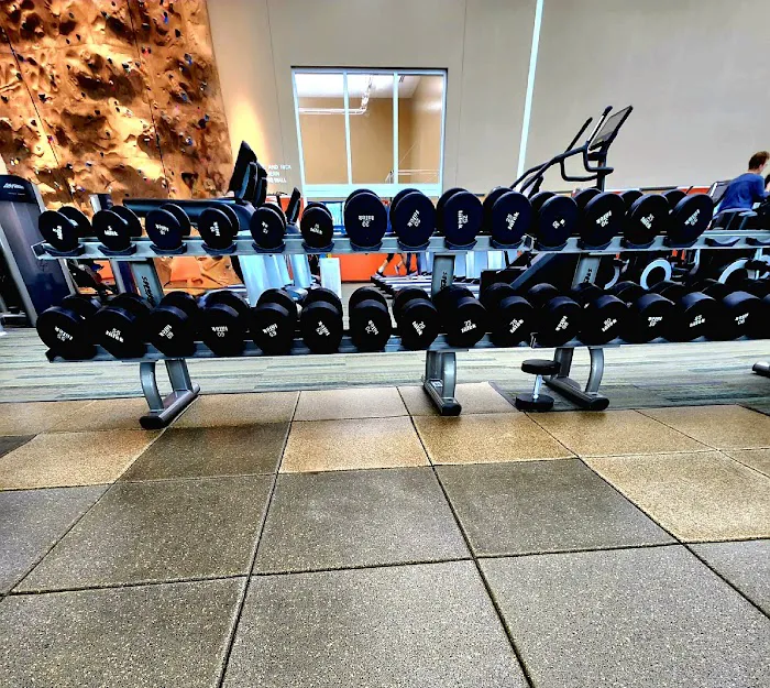 Sequoia Wellness Center Picture 3