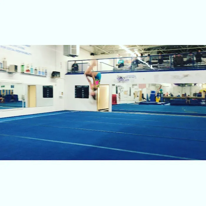 YMCA Gymnastics Center Picture 4