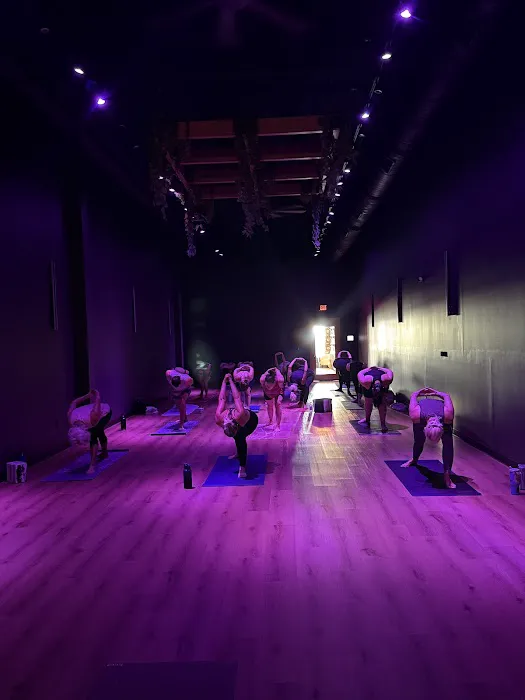 Vibe Yoga Lab Picture 2