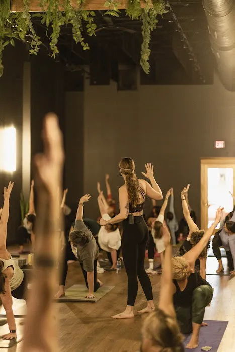 Vibe Yoga Lab Picture 3