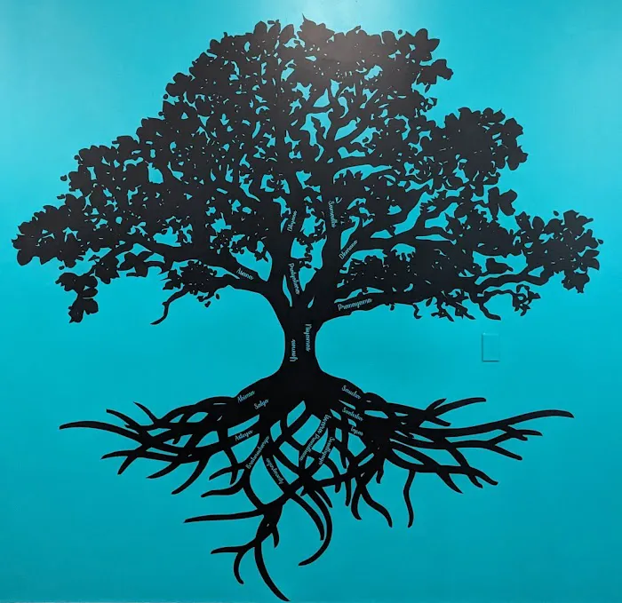 Eternal Bliss Yoga Center Picture 4