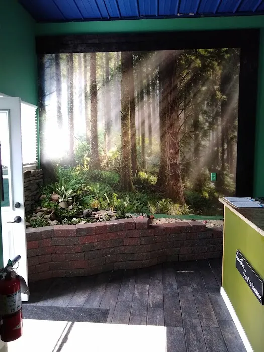 Eternal Bliss Yoga Center Picture 7
