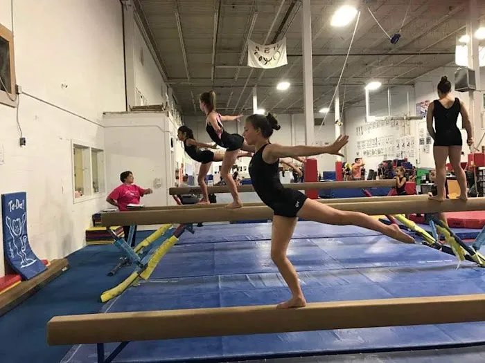 Bright Raven Gymnastics Inc Picture 3
