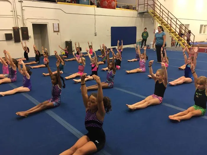 Bright Raven Gymnastics Inc Picture 4