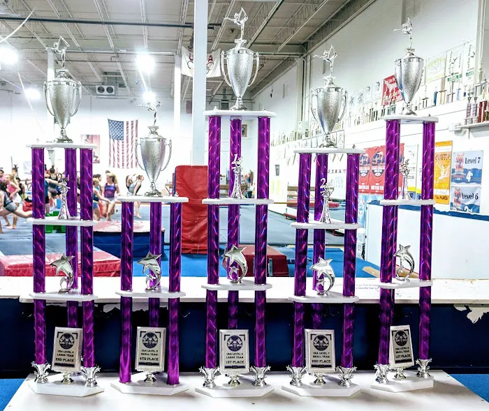 Bright Raven Gymnastics Inc Picture 10
