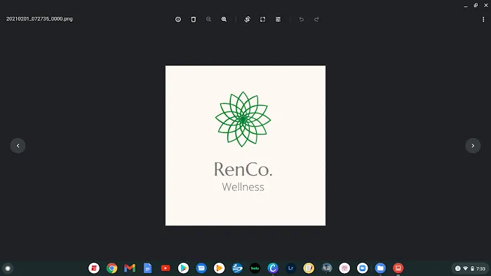 RenCo. Wellness Picture 5