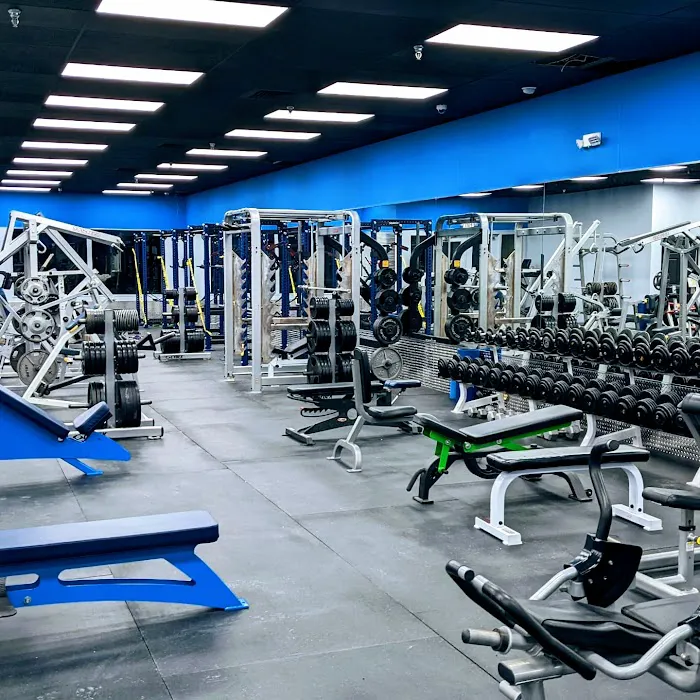 The Bar Training Facility Picture 8