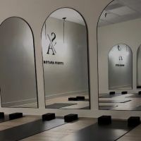 Studio Anatomy ico