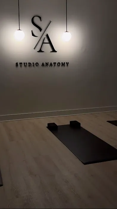 Studio Anatomy Picture 2