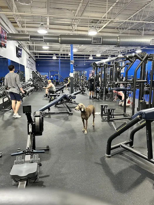 Live It Fitness & Training Picture 7