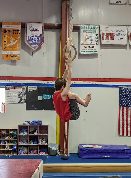 Eagle Gymnastics Picture 3