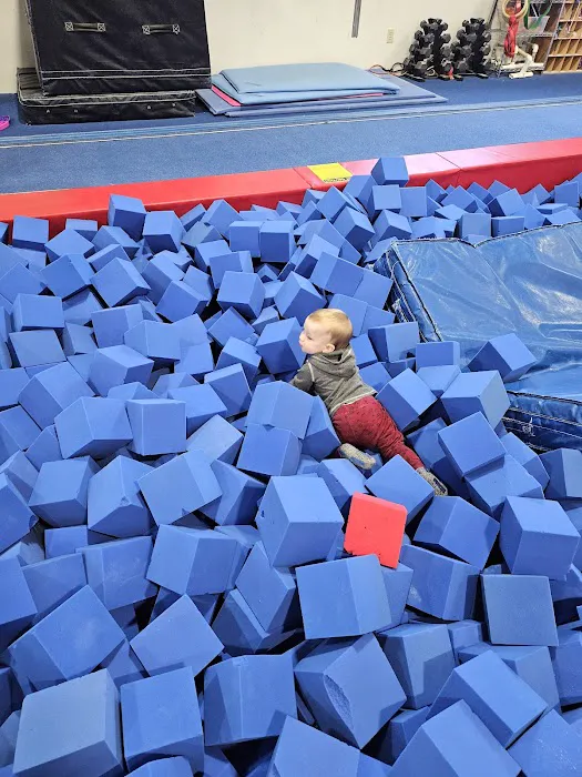 Eagle Gymnastics Picture 2
