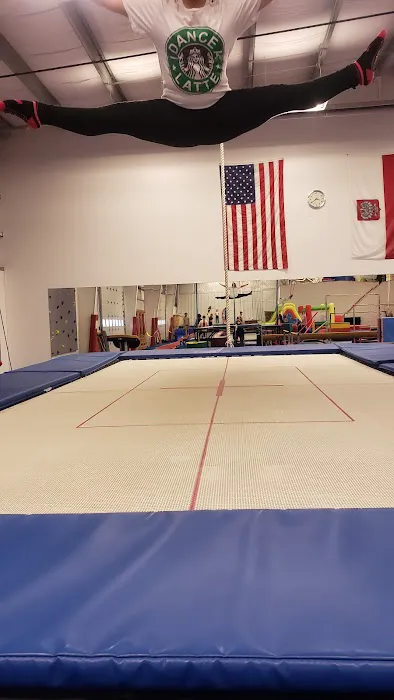 Wojtek's Gymnastics Picture 1
