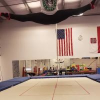 Wojtek's Gymnastics ico