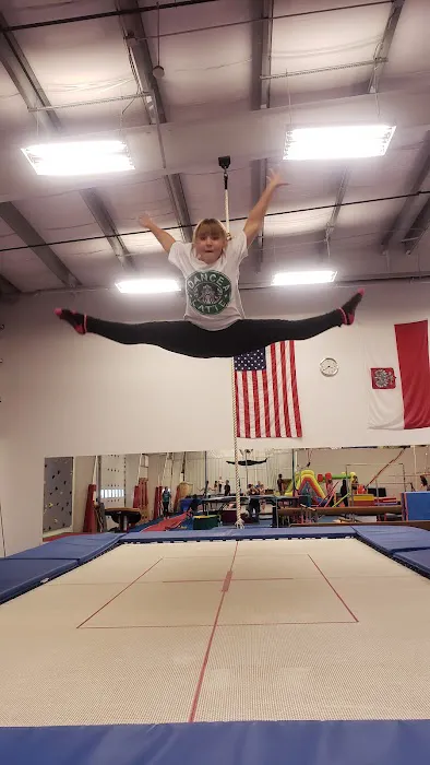 Wojtek's Gymnastics Picture 2