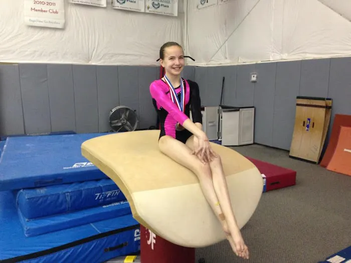 Gymnastic Sports Academy Picture 5