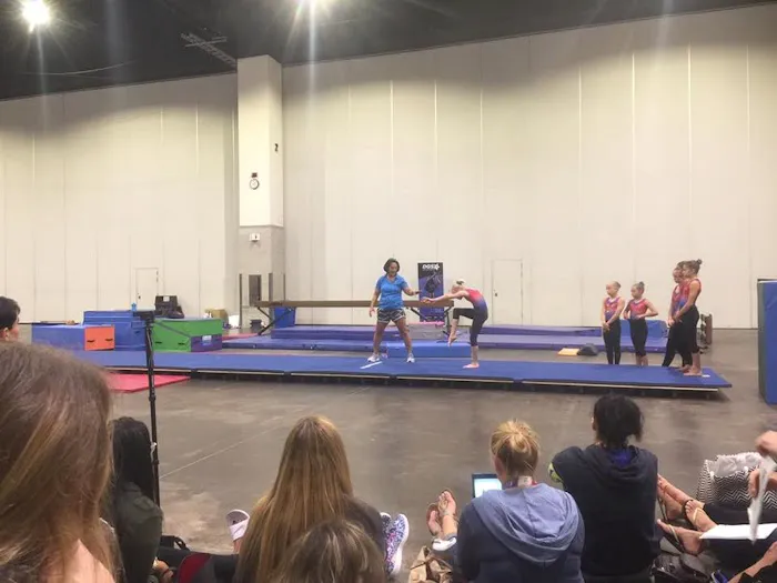 Gymnastic Sports Academy Picture 6