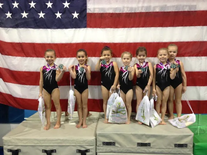 Gymnastic Sports Academy Picture 9
