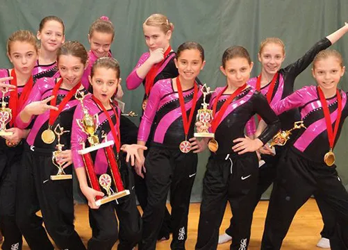 Gymnastic Sports Academy Picture 1