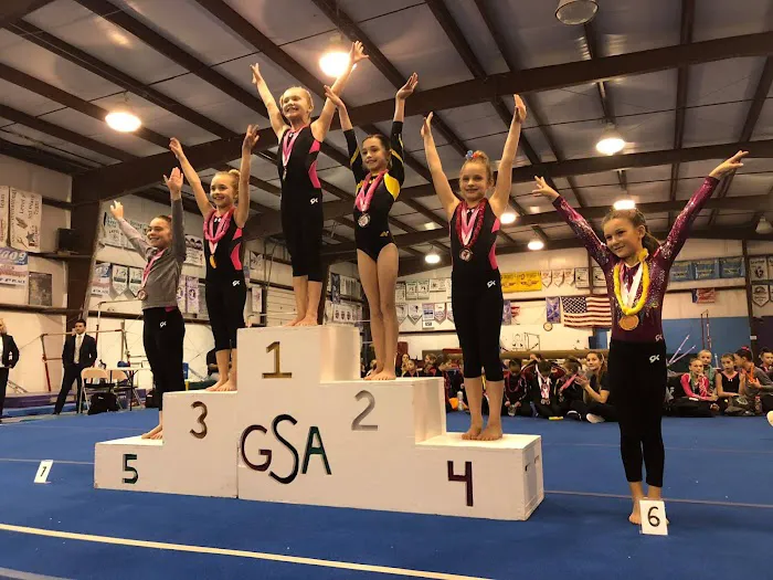 Gymnastic Sports Academy Picture 4