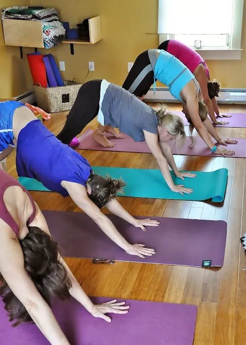 White Swan Yoga Studio Picture 1