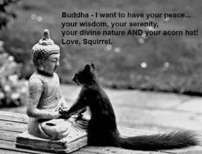 Somatic Health & Healing Picture 2