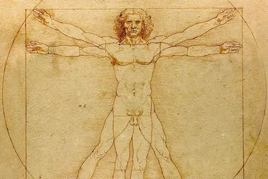 Somatic Health & Healing Picture 3