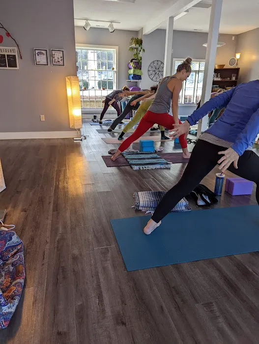 The Yoga and Fitness Loft Picture 7