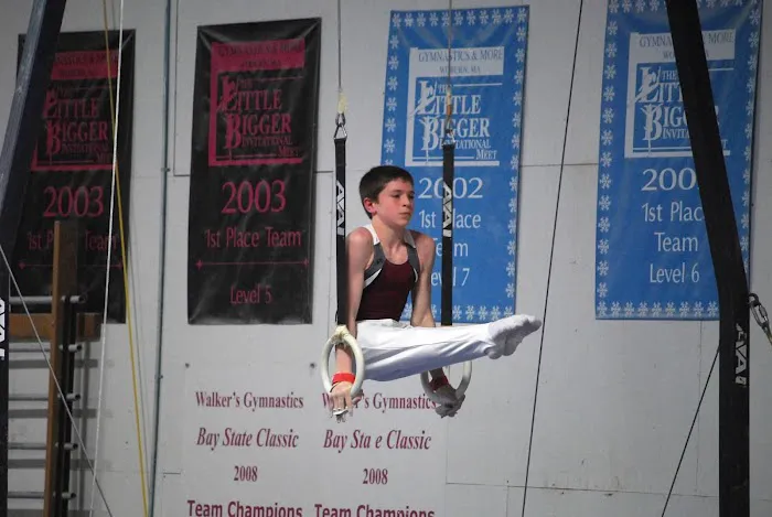 Gymnastics Village Picture 5