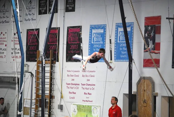 Gymnastics Village Picture 8