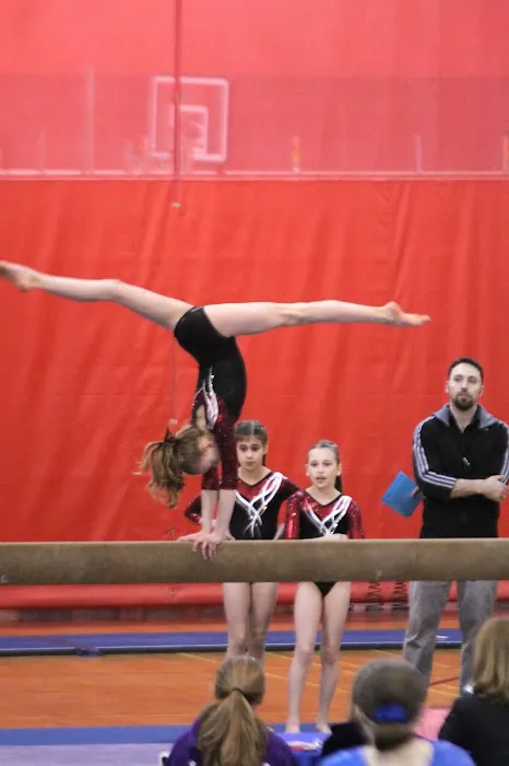 Gymnastics Village Picture 3