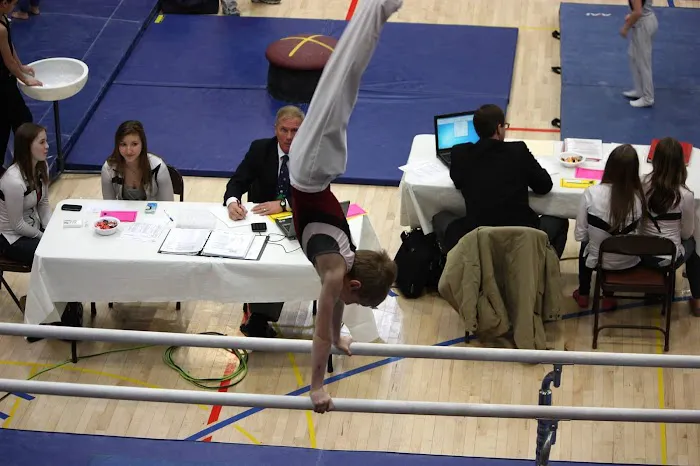 Gymnastics Village Picture 7