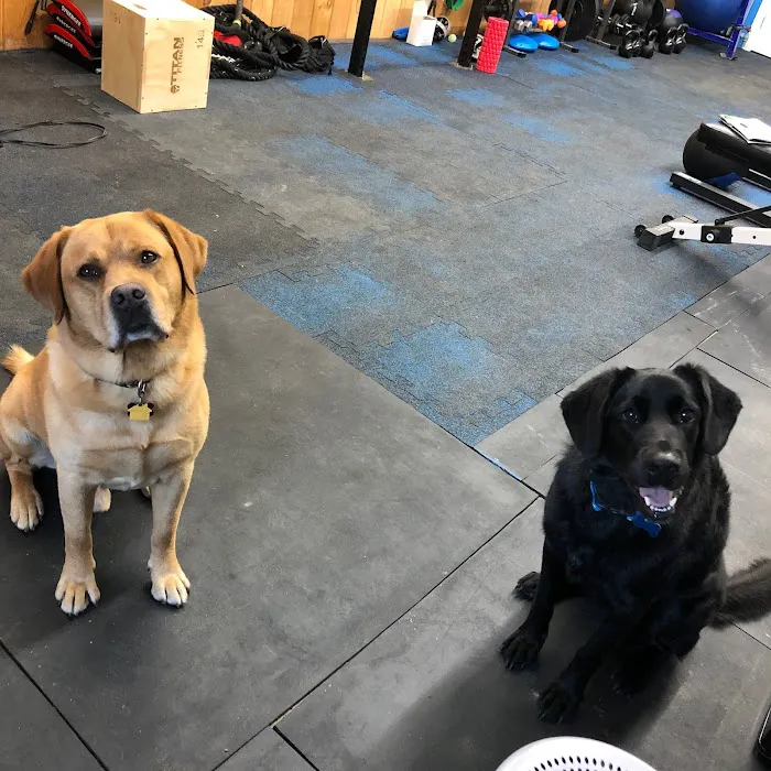 Smitty's Garage Gym Picture 9