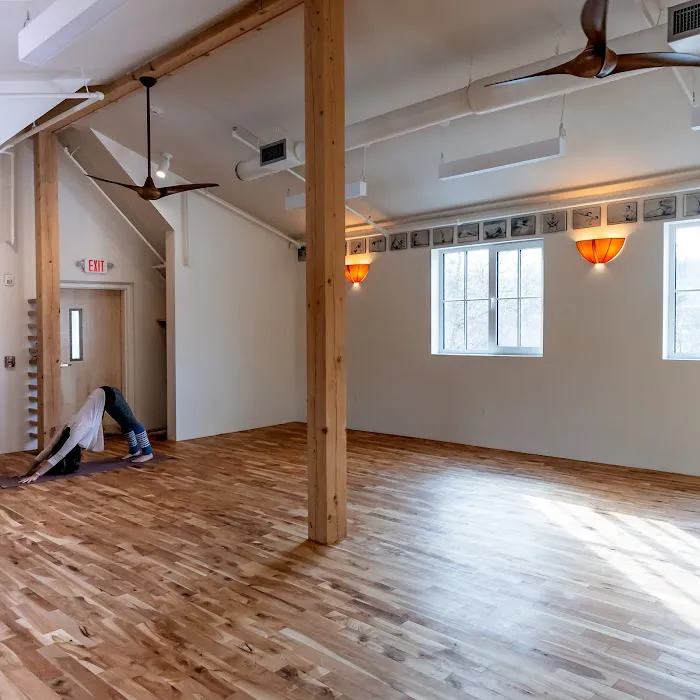 Iyengar Yoga North Picture 4