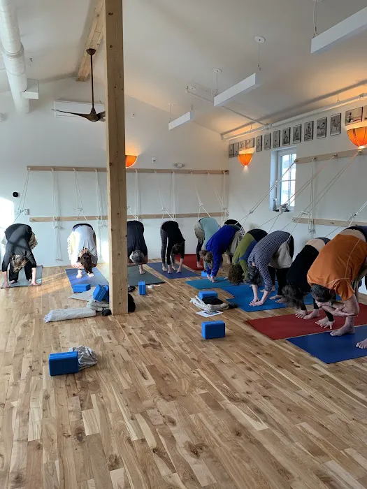 Iyengar Yoga North Picture 3