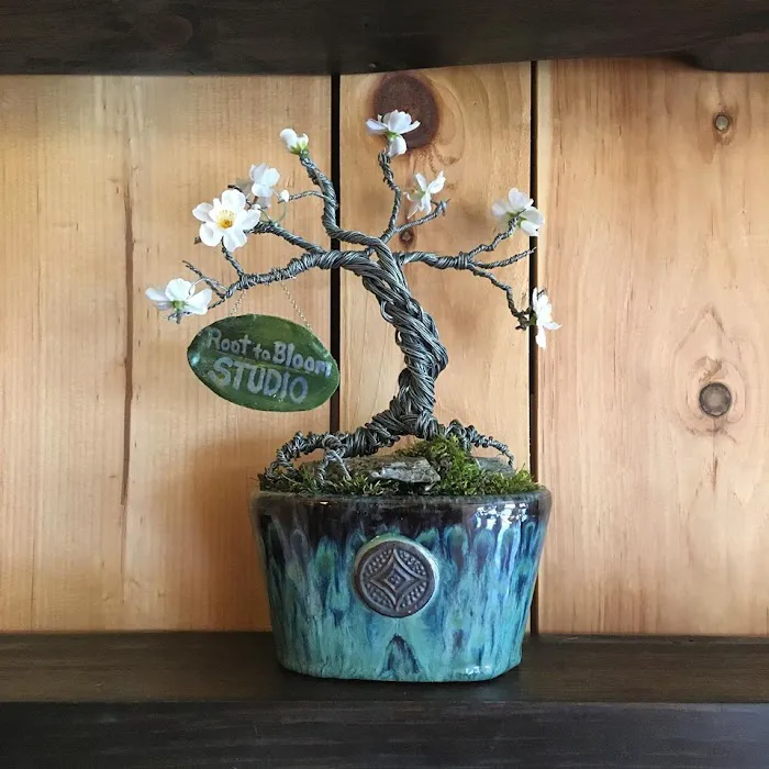 Root to Bloom Studio Picture 2