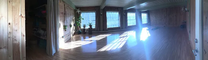 Root to Bloom Studio Picture 10