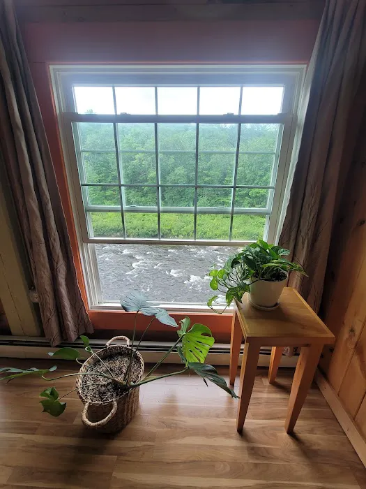 Root to Bloom Studio Picture 4