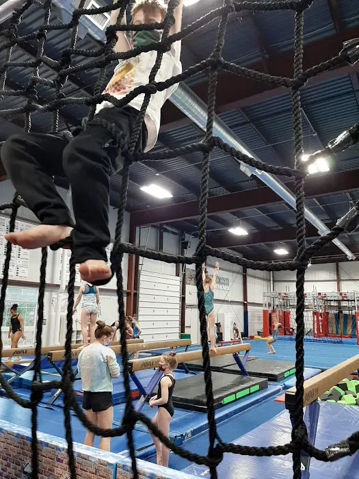 Regal Gymnastics Picture 4