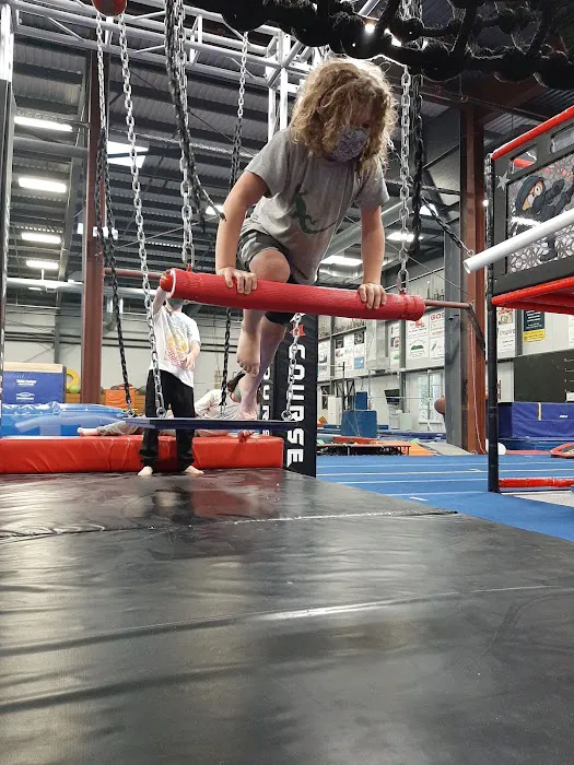 Regal Gymnastics Picture 10