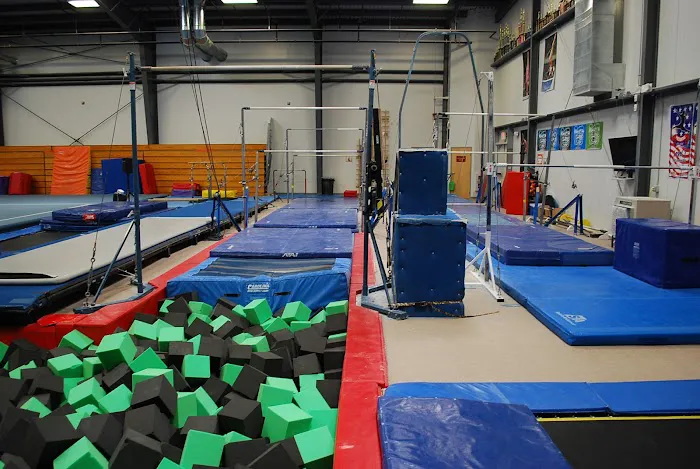 Regal Gymnastics Picture 5