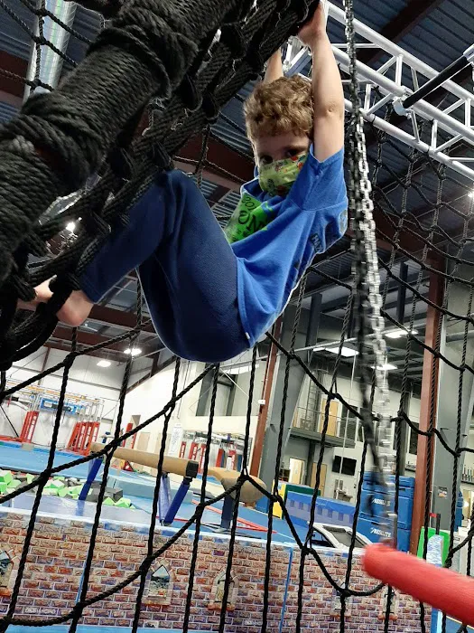 Regal Gymnastics Picture 9