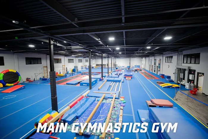 Pioneer Gymnastics Picture 2